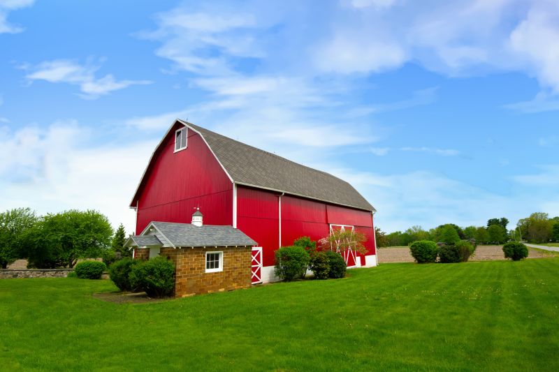 Barn Siding Replacement