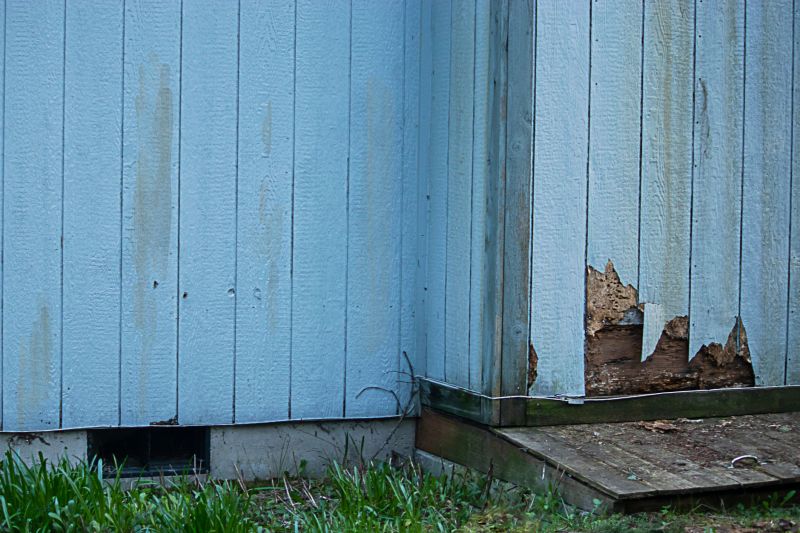 Wood Siding Repair